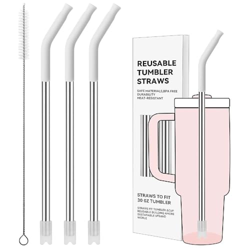 Straight Metal Straws for Stanley 30oz