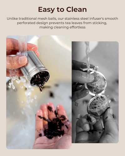2 Pack Reinmoson 304 Stainless Steel Tea Infuser for Loose Leaf Tea (2 Count)