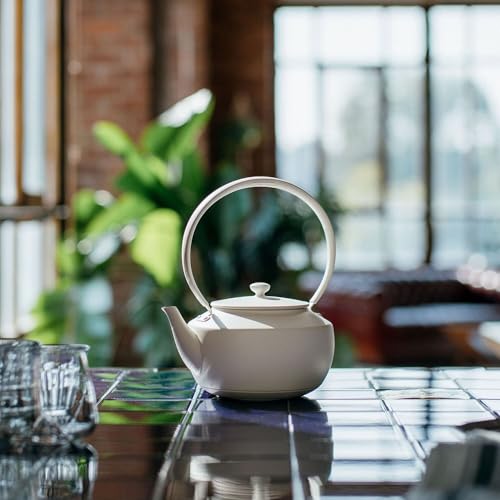 MoonKettle Electric Kettle with Temp Control