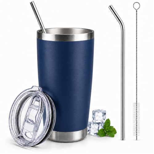 20 oz Stainless Steel Insulated Tumbler with Lid and Straw