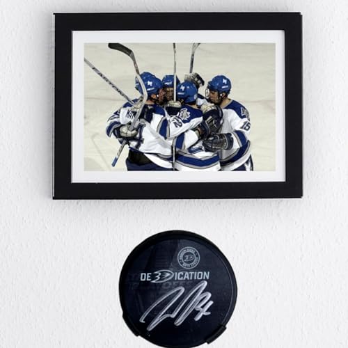 Hockey Puck Display Case Wall Mount