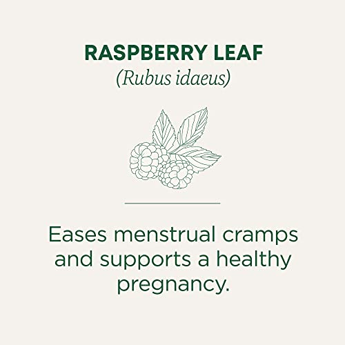 Organic Raspberry Leaf (48 Count)
