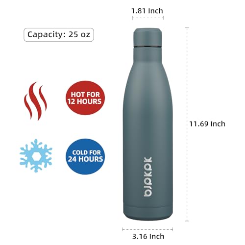 25 oz Insulated Stainless Steel Water Bottle