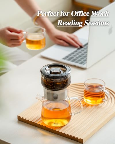 Modern Glass Infuser Pot Set with 2 Cups