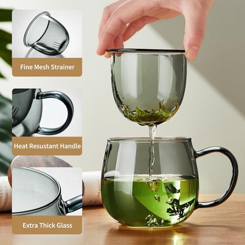 17 OZ Glass Tea Cup with Infuser and Lid (17 Fl Oz)