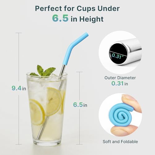 Short Metal Straw Reusable