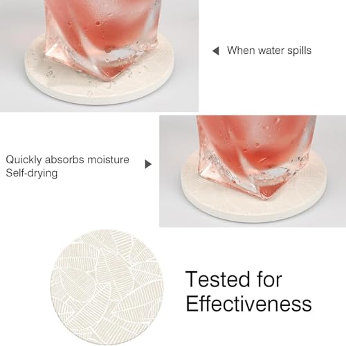 Ceramic Absorbent Table Coasters Set of 2 (2 Count)