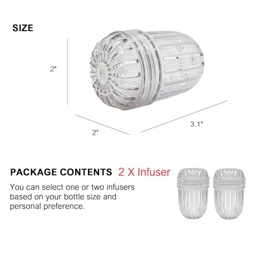 2PCS Fruit Infuser (2 Count)