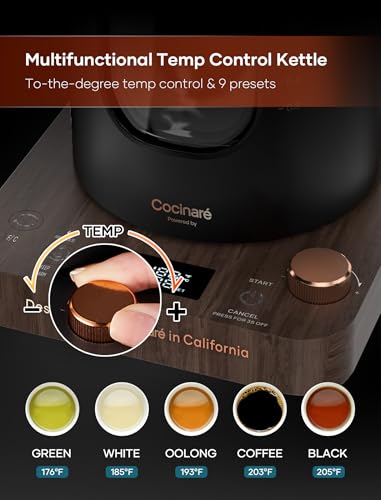 Electric Tea Kettle with Infuser