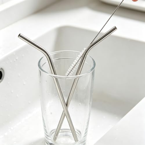 10 Pcs Stainless Steel Straws (10 Count)