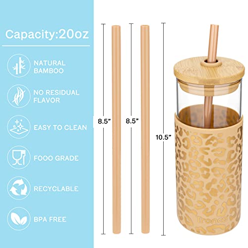 20 oz Glass Tumbler with Lids and Straws