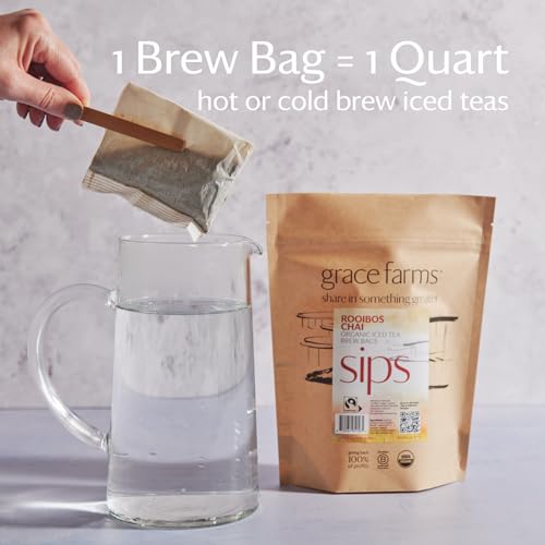 ROOIBOS CHAI ORGANIC ICED TEA