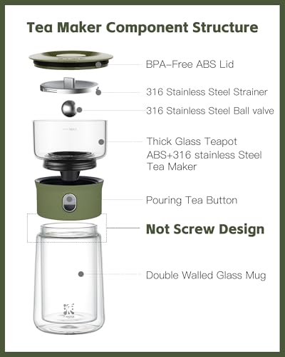 Modern Glass Infuser Teapot