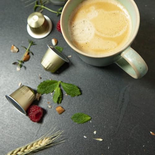San Marino’ Organic Italian Lungo for Nespresso Original Line Machines (100 Count)
