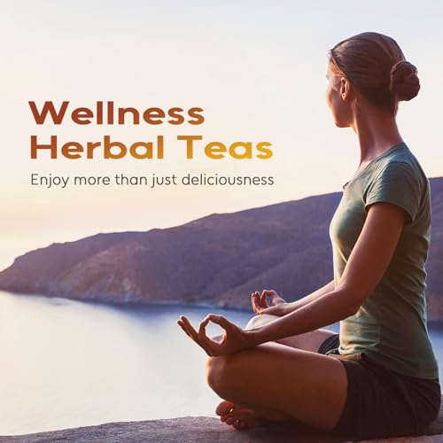 Rooibos Tea Bags (60 Count)