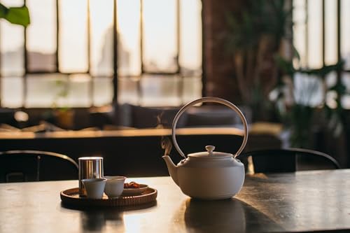MoonKettle Electric Kettle with Temp Control