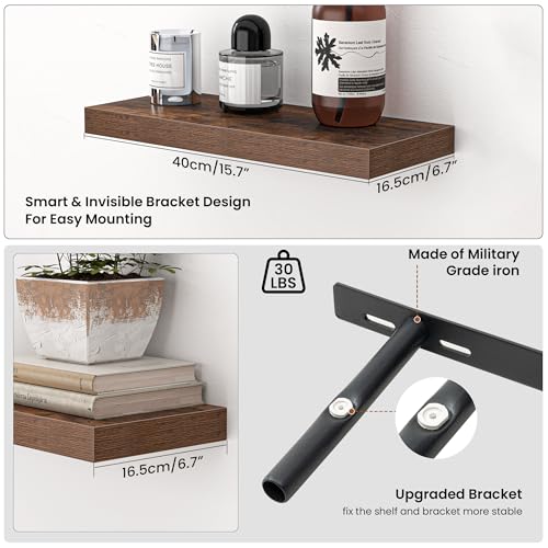 Floating Shelves for Wall (2 Count)