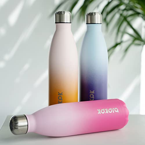 25 oz Insulated Water Bottle