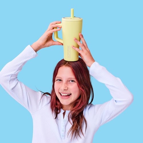 Era 20 oz Tumbler with Handle and Straw