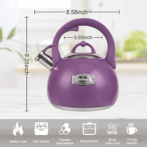 Tea Kettle for Stovetop