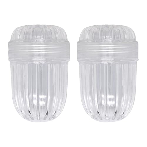 2Pcs Fruit Infuser Insert for Wide Mouth Water Bottles (2 Count)
