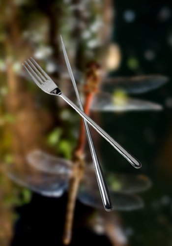 Dragonfly 18 10 Stainless Steel Flatware Table Fork (12 Count)