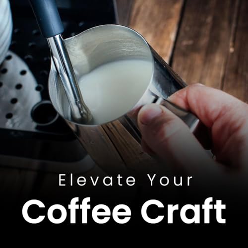 20oz Stainless Steel Latte Art Pitcher