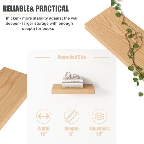 Floating Shelves for Wall