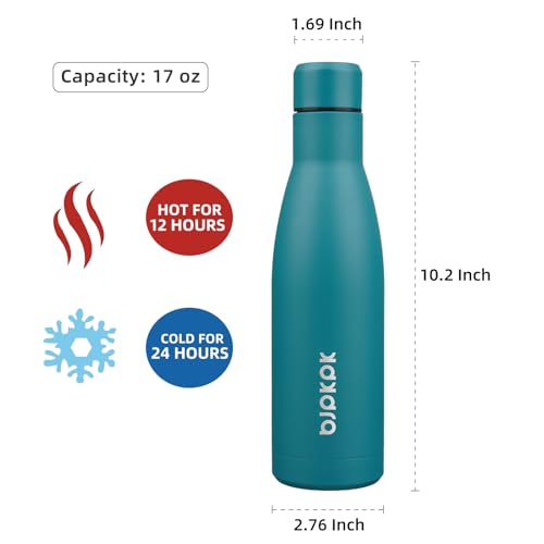 17oz Skinny Insulated Water Bottle