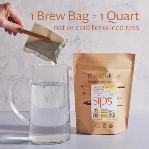GINGER PEACH ORGANIC ICED TEA (12 Count)