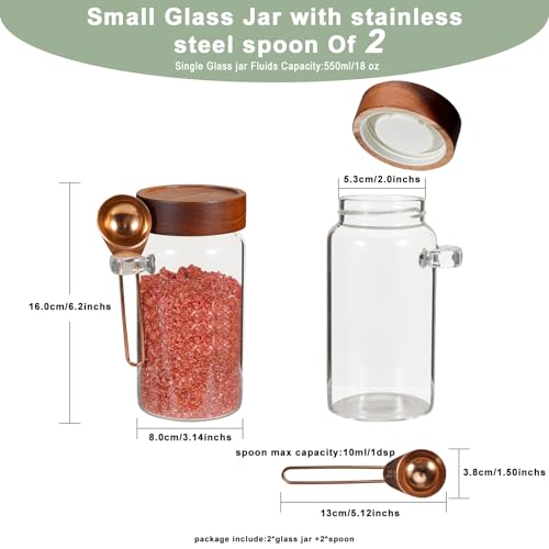18oz Glass Coffee Jars with Scoop Wood Screw Lid Clear Round Spice Jar Herb Container Sugar Storage Bottle Canister for Seasoning Meal Prep Tea Coffee Ground Bean Salts