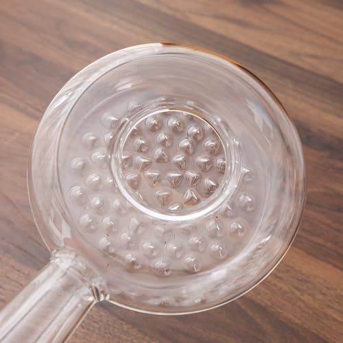 Portable Glass Coffee Bean Roaster