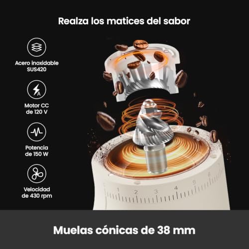 Electric Conical Burr Coffee Grinder