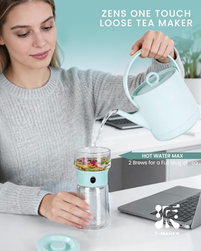 Modern Glass Infuser Teapot