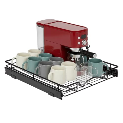 Pull Out Cabinet Organizer