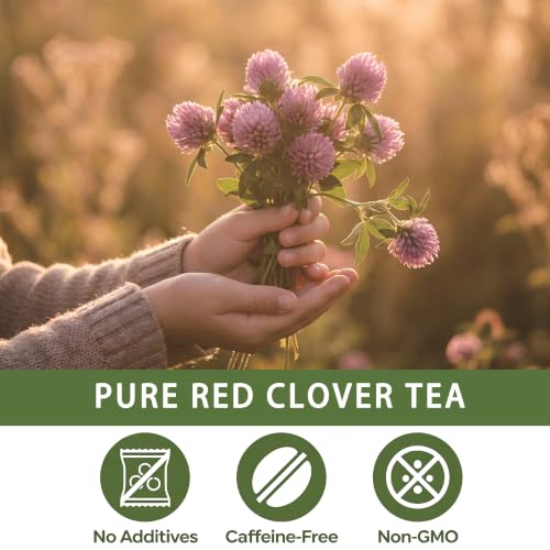 Red Clover Tea Bags (50 Count)
