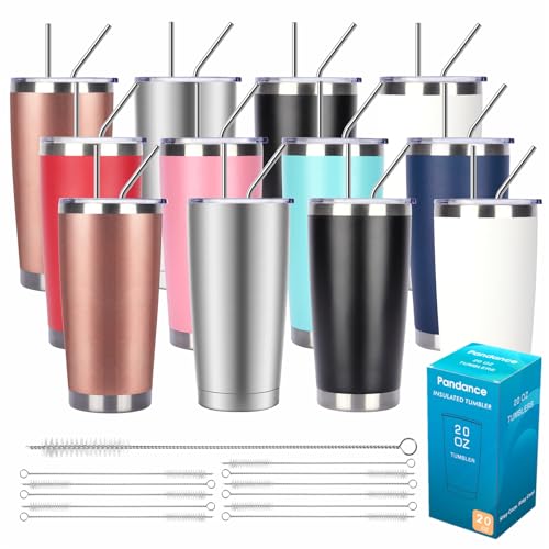 20oz Stainless Steel Insulated Tumblers Bulk (12 Count)
