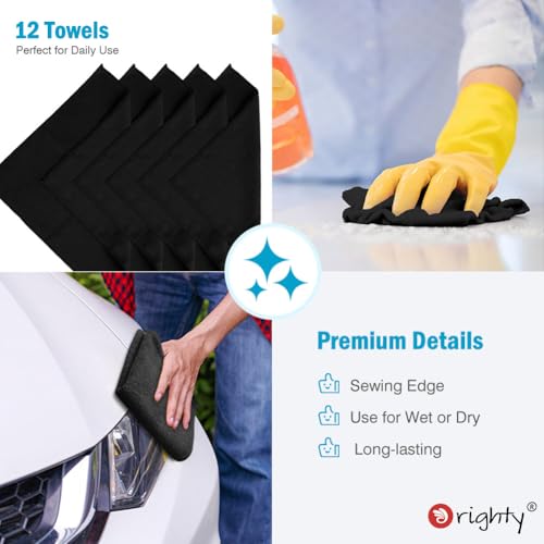 Microfiber Cleaning Cloth (12 Count)