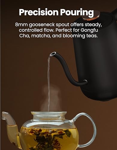 Viante Electric Gooseneck Kettle 0.8L