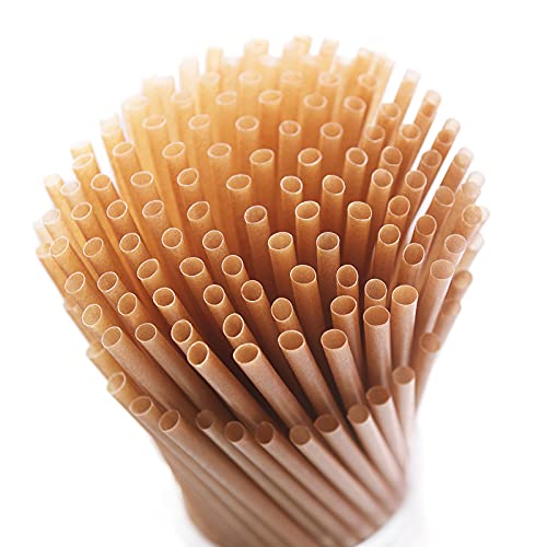 200pcs Sugarcane Straws 8 Inch Plant (200 Count)