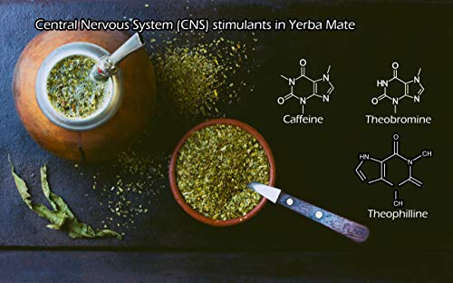 Yerba Mate Tea 1LB (16 Ounce)