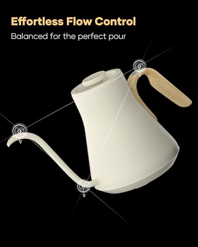 Gooseneck Electric Kettle