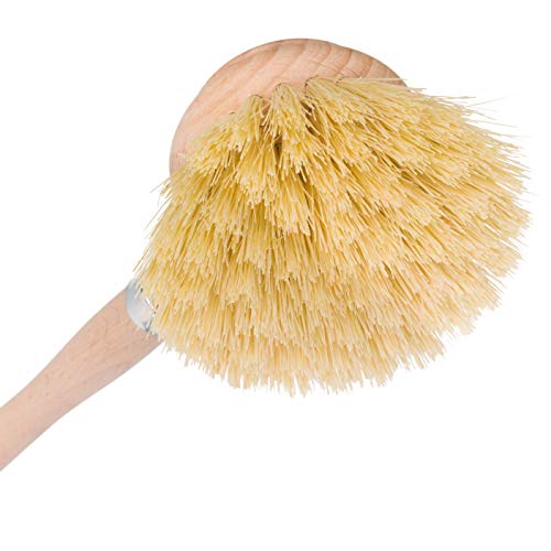 Dish Brush Tampico Fiber
