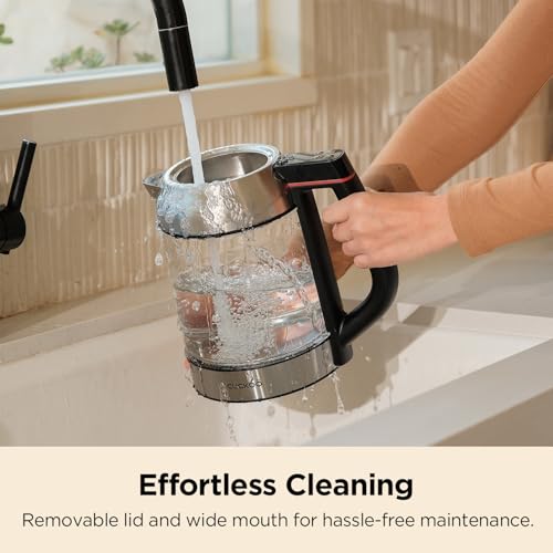 1.7L Glass Electric Kettle with Tea Infuser