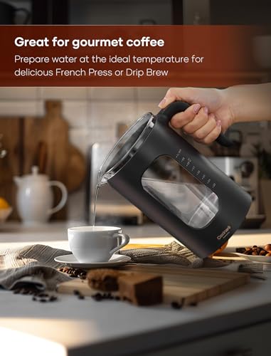 Electric Tea Kettle with Infuser