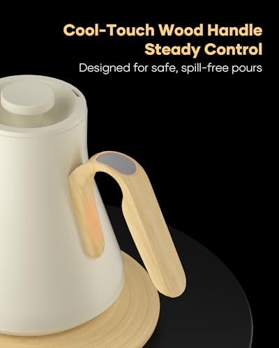 Gooseneck Electric Kettle