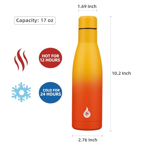 17 oz Insulated Thermal Metal Water Bottle
