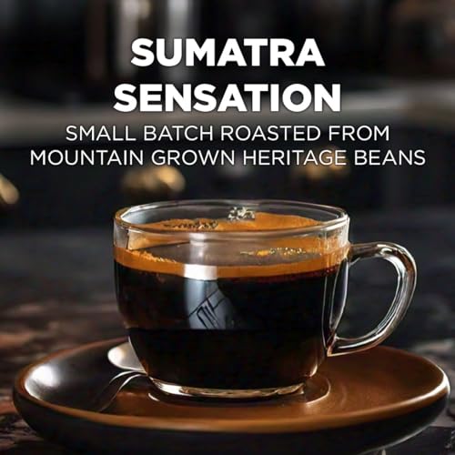 Sumatra Medium Roast Coffee Pods (100 Count)