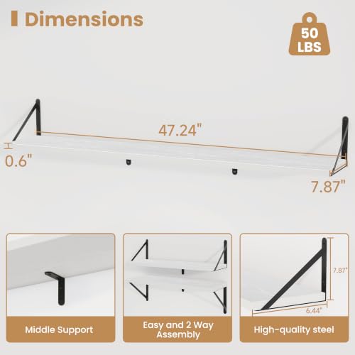 Floating Book Shelves for Wall (3 Count)