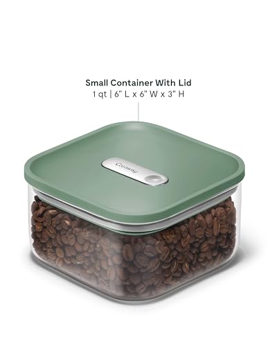 1 qt Glass Airtight Food Storage Container with Lid